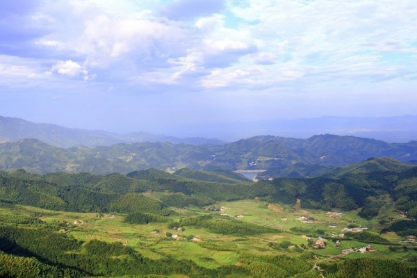 寿山图片