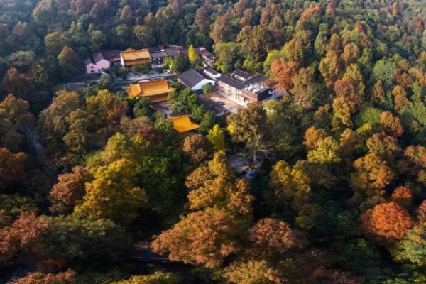 岳麓山图片