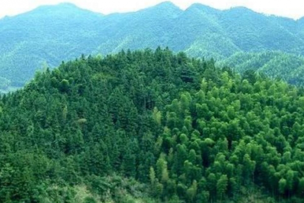 岣嵝山图片