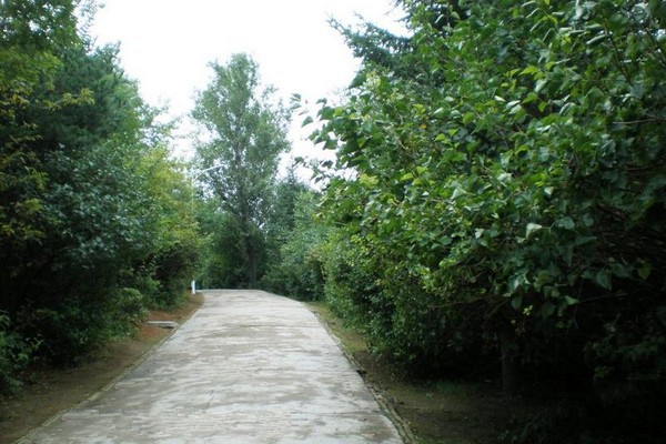 辽源龙山公园旅游攻略