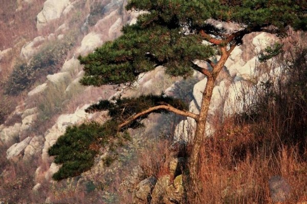 连云港灌云大伊山风景区旅游攻略