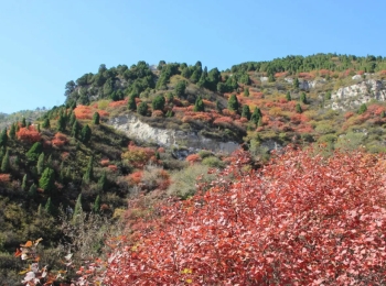 崛围山