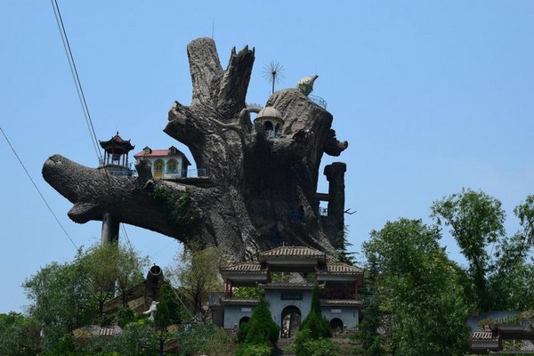 邯郸九龙槐景区旅游攻略
