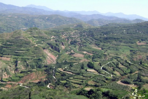 崤山图片