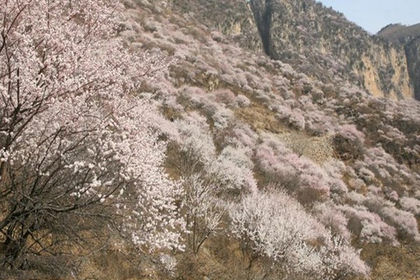 邢台九龙峡旅游攻略