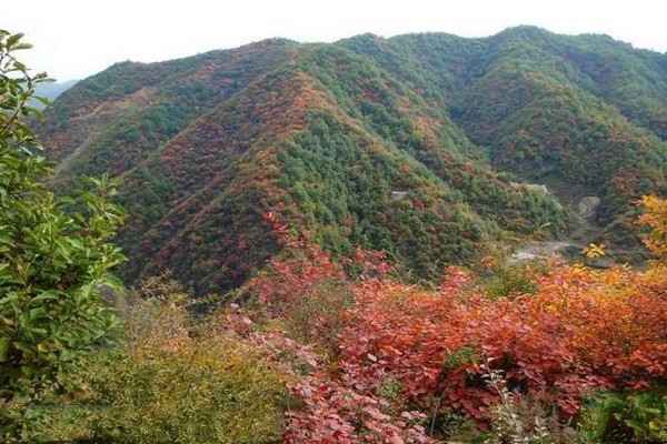 邢台蝎子沟国家森林公园旅游攻略