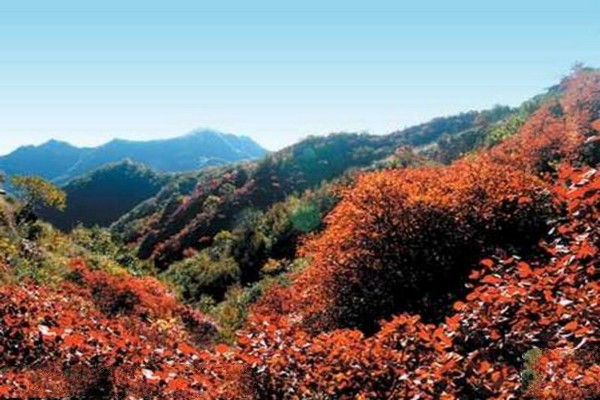 邢台九龙峡旅游攻略