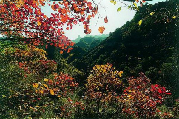 邢台九龙峡旅游攻略
