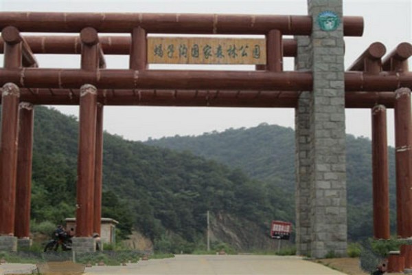邢台蝎子沟国家森林公园旅游攻略
