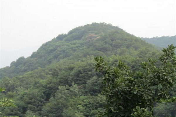 邢台蝎子沟国家森林公园旅游攻略