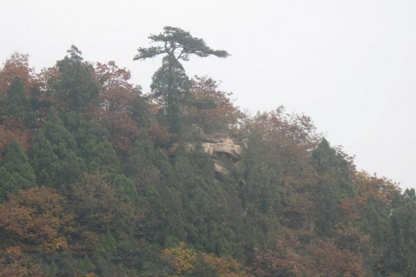 遵化鹫峰山旅游攻略