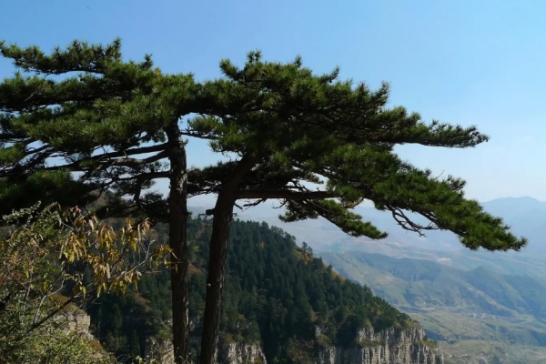 恒山图片