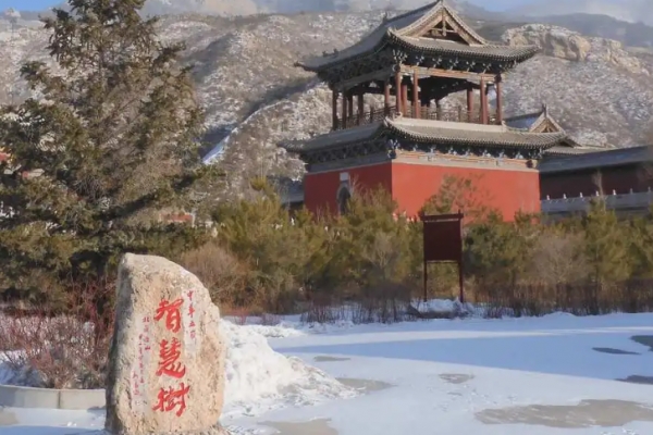 恒山图片