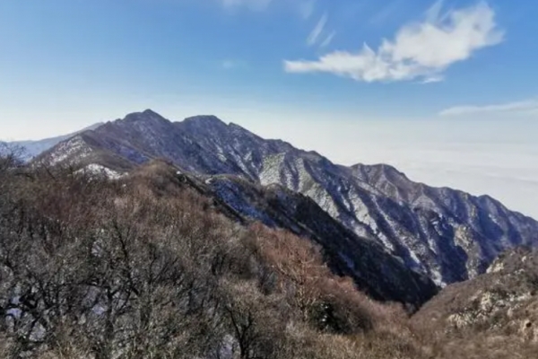 摩天岭图片