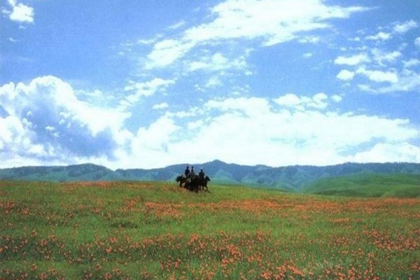 鄂尔多斯文化旅游村旅游攻略