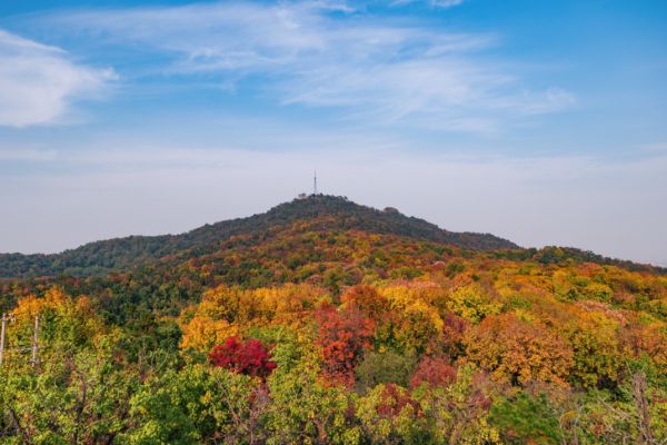 栖霞山图片