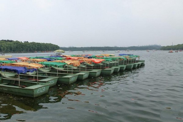 长春南湖公园旅游攻略