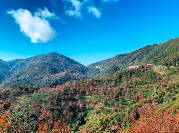 无量山