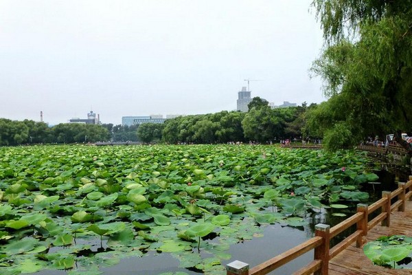 长春南湖公园旅游攻略