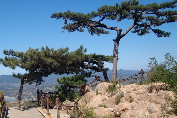 景忠山图片