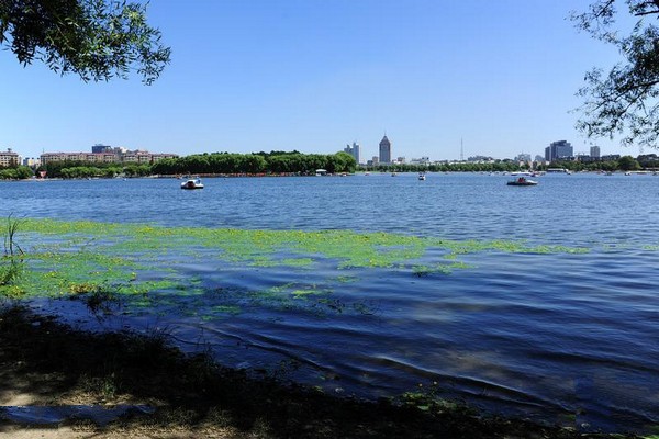 长春南湖公园旅游攻略