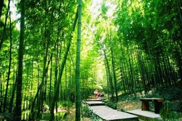 镇江南山风景名胜区旅游攻略