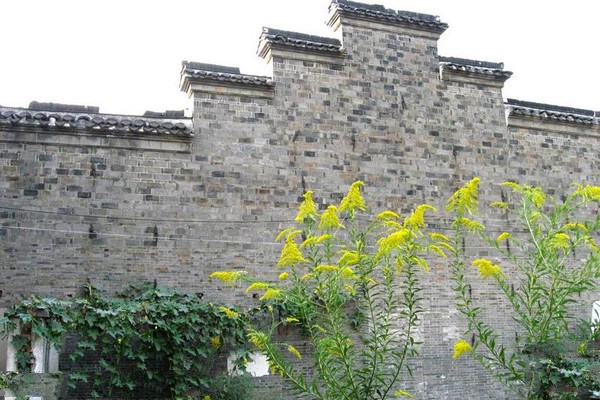 镇江谏壁王家花园旅游攻略