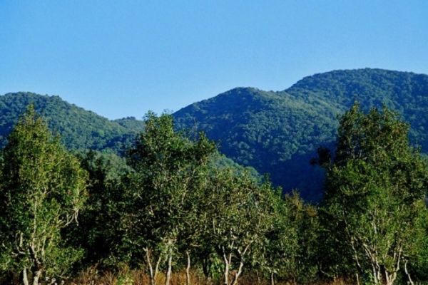 无量山图片