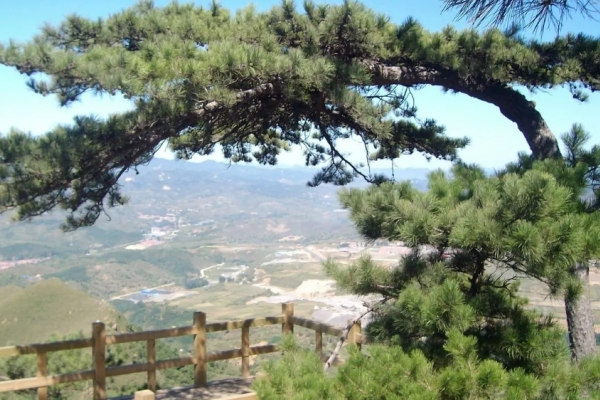 景忠山图片