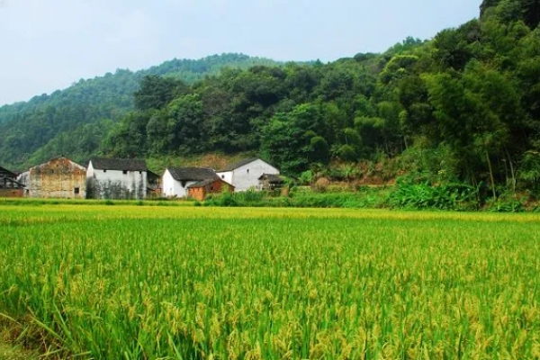 文公山图片