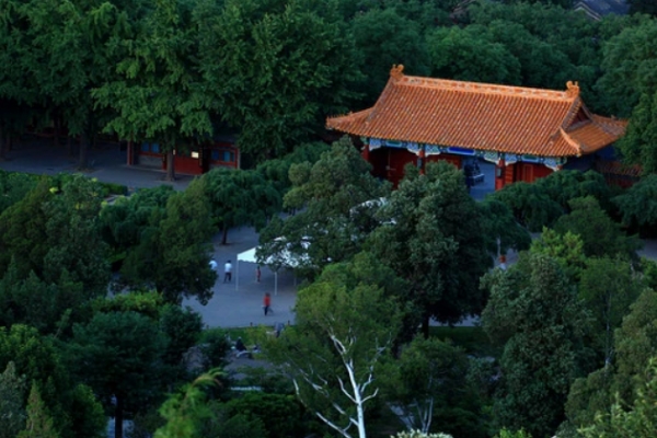 景山图片