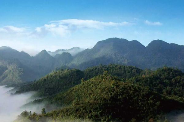 无量山图片