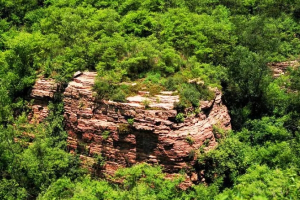 杨岐山图片
