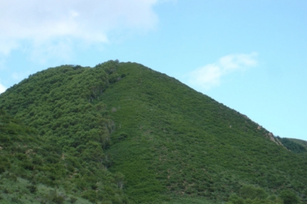 斗金山图片