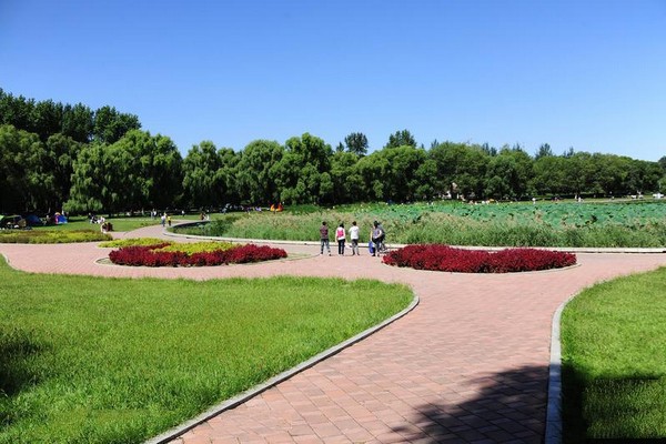 长春南湖公园旅游攻略