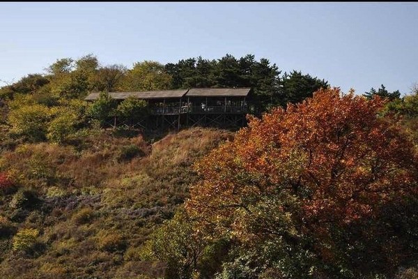 阳泉翠枫山旅游攻略