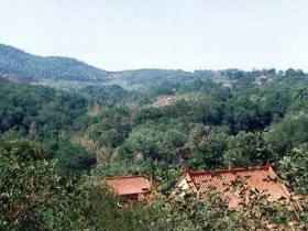 梓潼山