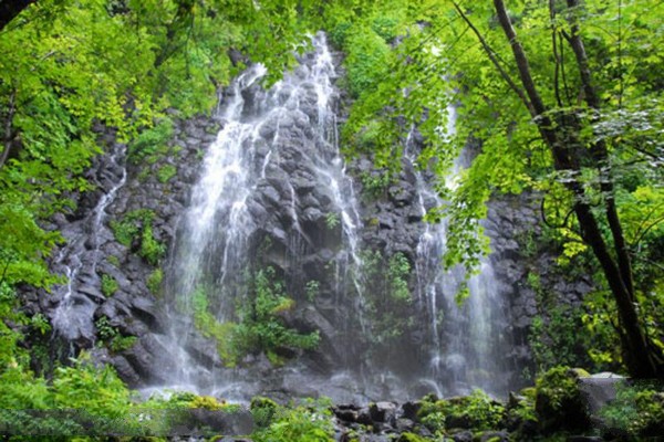 长白石林风景区旅游攻略