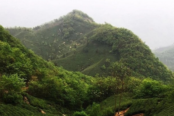 桐柏山图片