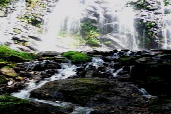 长白石林风景区旅游攻略