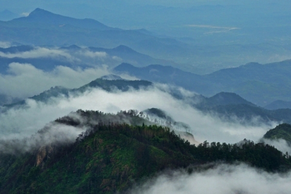 横岗山图片