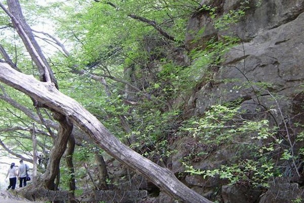 陵川凤凰欢乐谷旅游攻略