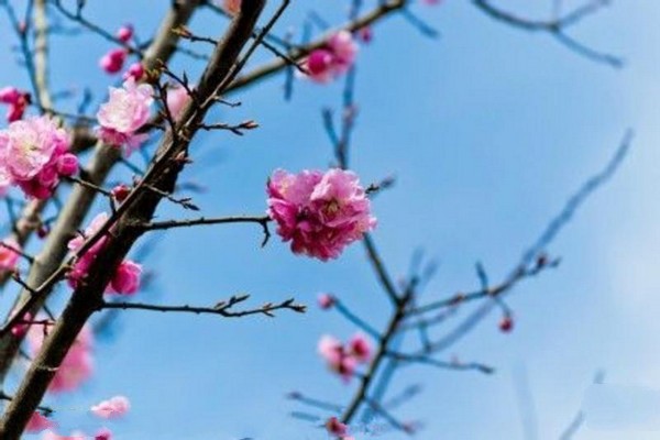 阳泉市桃林沟景区旅游攻略