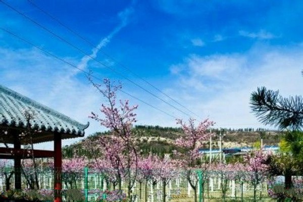 阳泉市桃林沟景区旅游攻略