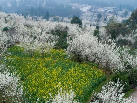 樱桃山