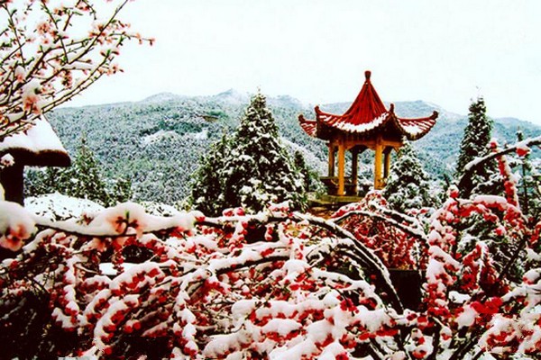 长治始祖百草堂旅游攻略