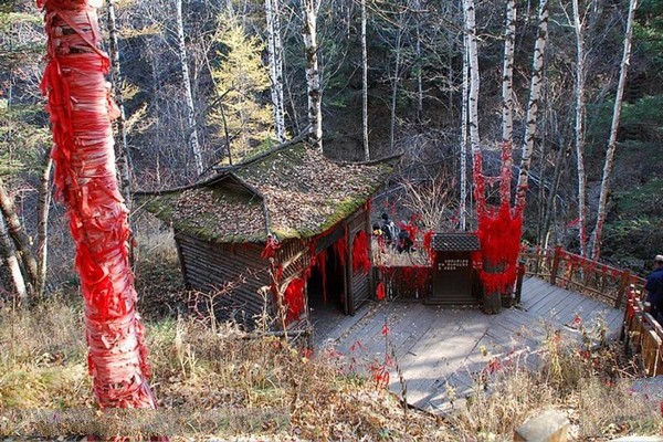 长白山峡谷浮石林景区旅游攻略
