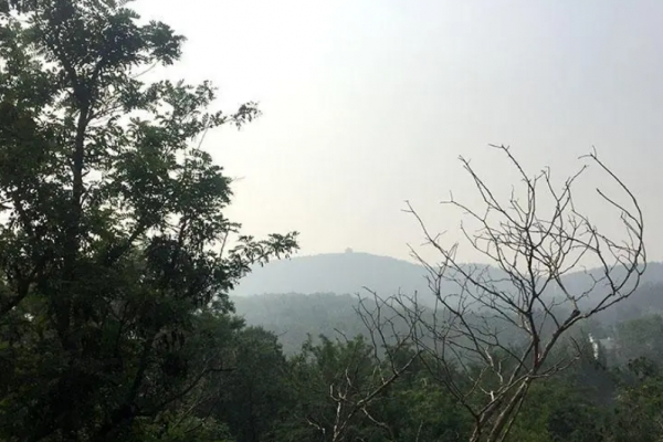梓童山图片