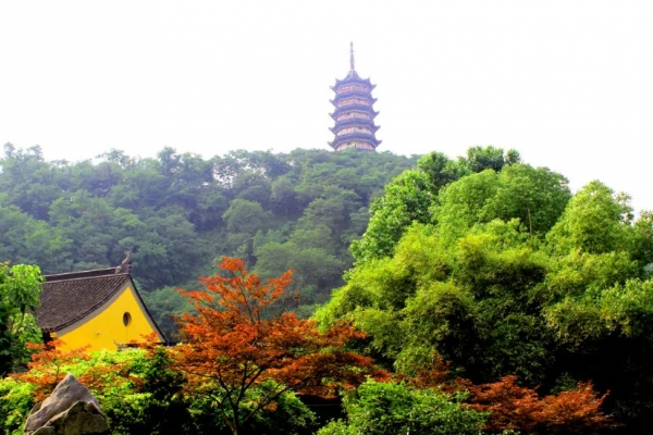 焦山图片