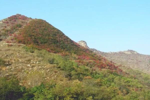 浮烟山图片